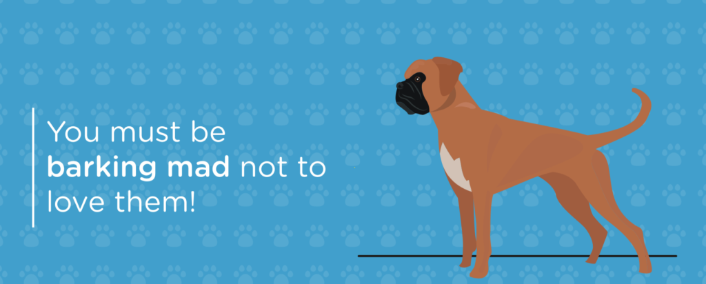 Screenshot of banner.